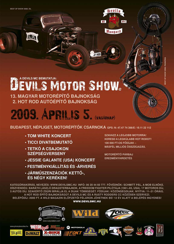 dms2009 plakat