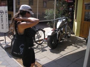dandi14