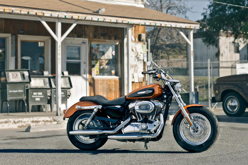 Harley Davidson 1200Custom 2