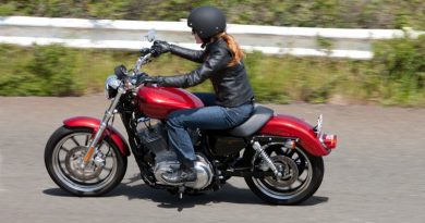 Harley Davidson xl883l 4