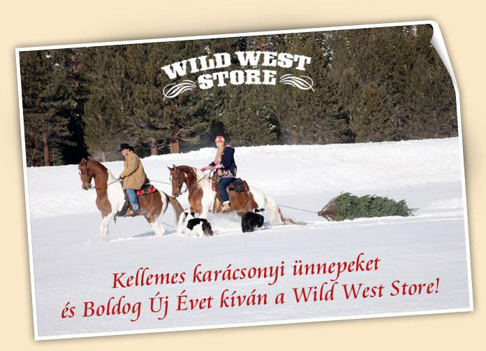 wild west store
