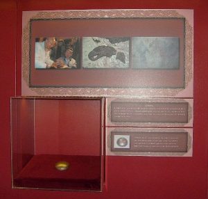 image046