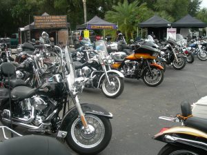 peggys corral 19