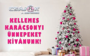 Kellemes Karácsonyi Ünnepeket Kívánnak a Csajok a motoron