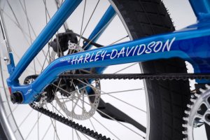 Serial 1 Mosh/Chopper custom e-bike