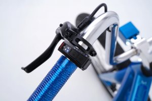 Serial 1 Mosh/Chopper custom e-bike