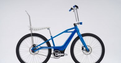Serial 1 Mosh/Chopper custom e-bike