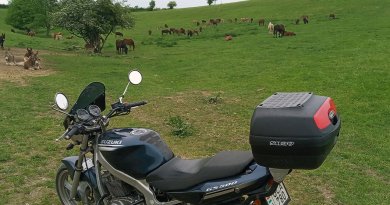 Motoro és lovak Suzuki GS 500