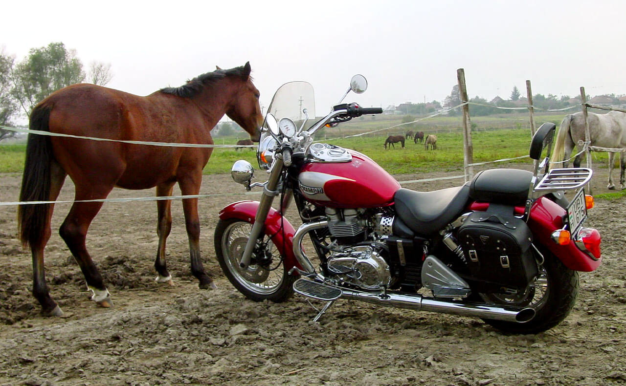 Lovasok és motorosok,hogyan viselkedjünk, ha lovasokkal találkozunk