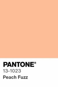 A 2024-es év színe a PANTONE 13-1023 Peach Fuzz
