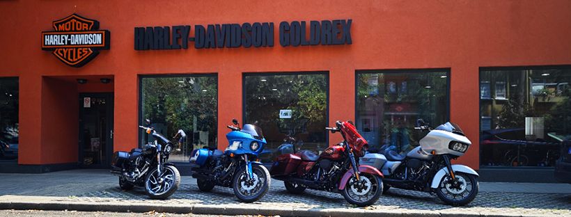 Harley-Davidson Goldrex Open Day